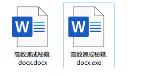 两个看似同名的文档，实际有一个是 exe 文件